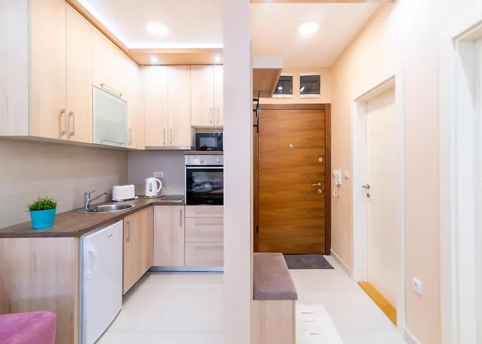 Mili Lux شقة نوفي ساد