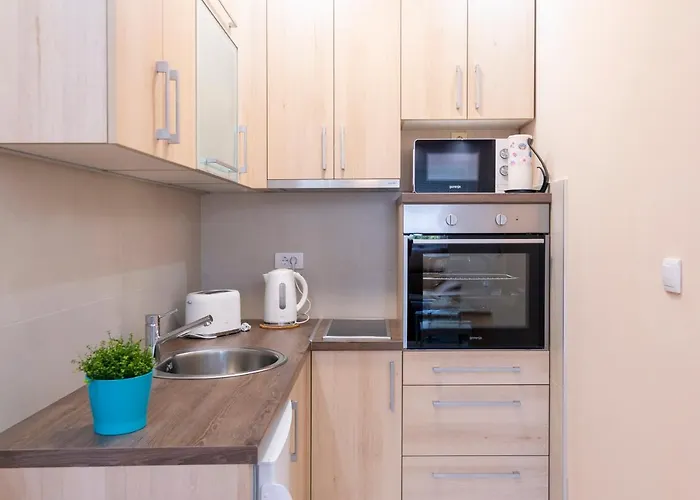 Mili Lux شقة نوفي ساد